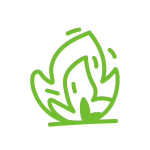 Dieta antiinflamatoria